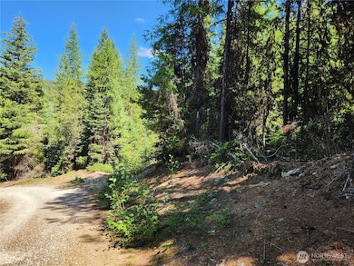 0 XX E Fork Cougar Creek Rd, Wauconda, WA 98859 - photo 3