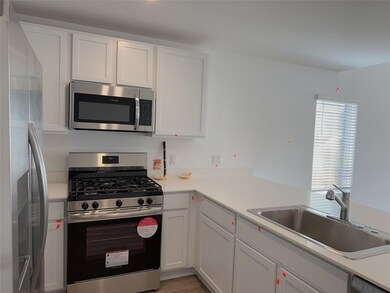 27106 River Birch Ridge Dr, Katy, TX 77493 - photo 6