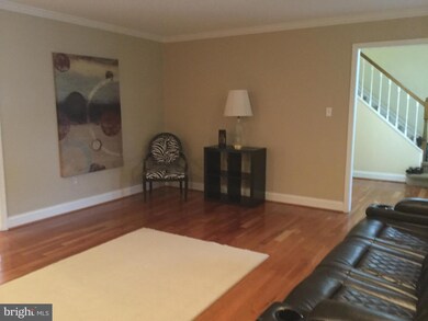 4309 Poplar Branch Dr, Chantilly, VA 20151 - photo 5