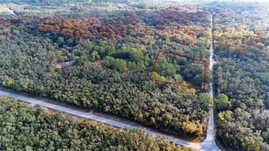 0 Rose Bloom Lot 5 Ave, Webster, FL 33597 - photo 4