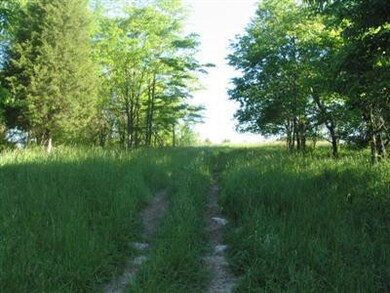 3 Bear Creek Rd, Lawrenceburg, KY 40342 - photo 3