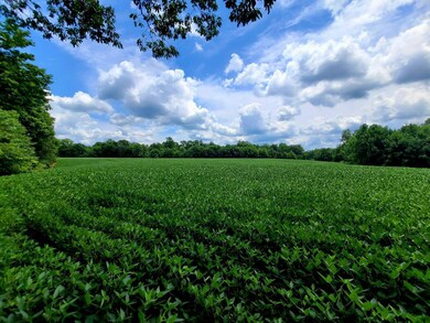 2096 Owens Rd, Felicity, OH 45120 - photo 5