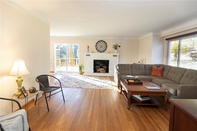 4553 Porter Rd, North Olmsted, OH 44070 - photo 3