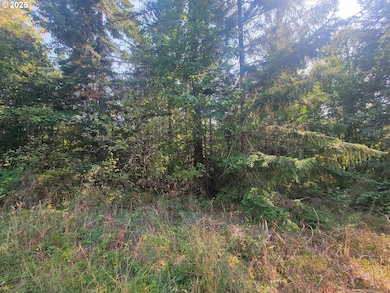 0 Finn Rd unit 591691188, Sheridan, OR 97378 - photo 3