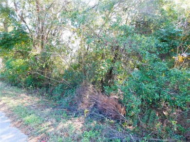0 SE 135th Ln unit MFRTB8455397, Belleview, FL 34420 - photo 3