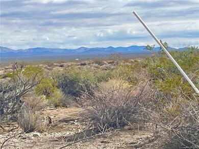 2100 S Lone Ranger Rd, Yucca, AZ 86438 - photo 2