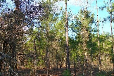 Lightly wooded Building Lot