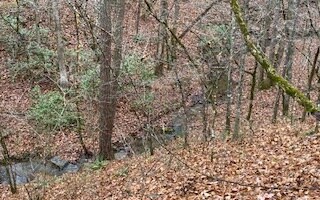 L771 Naomi Ct, Ranger, GA 30734 - photo 2