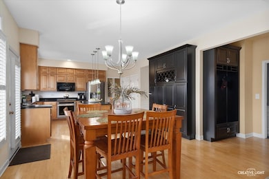 4311 Camelot Cir, Naperville, IL 60564 - photo 5