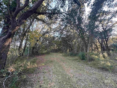 0 Benton Rd unit 387993, Foley, AL 36535 - photo 3