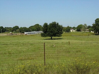 000 Yellow Bird Rd, Hockley, TX 77447 - photo 5
