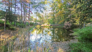 24 Beehive Ln, Corbin, KY 40701 - photo 5