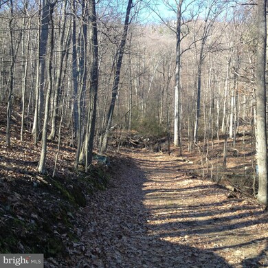 0 Battlefield Rd unit 1002812898, Strasburg, VA 22657 - photo 4