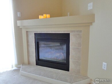 gas fireplace