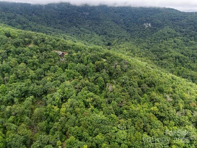 0 Peartree Dr unit 526 CAR4293152, Lake Lure, NC 28746 - photo 2