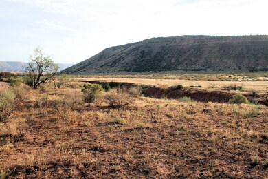 59.39 Acs Dalton Wash Rd, Virgin, UT 84779 - photo 5