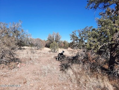 20211219002356900426000000-o