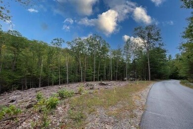 57 Pinnacle Rd, Campton, NH 03223 - photo 5