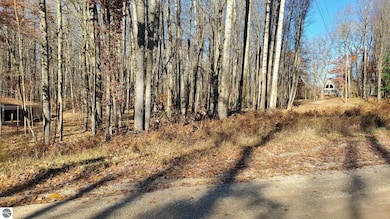 8122 Highland Trail unit 240, Canadian Lakes, MI 49346 - photo 5