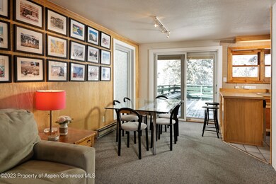 1501 Maroon Creek Rd unit 5, Aspen, CO 81611 - photo 6