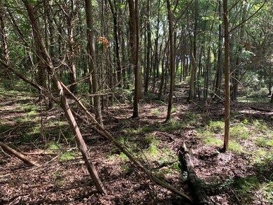 189 Cobalt Cove, Corsicana, TX 75109 - photo 6