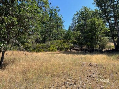 200 Creek Crossing Rd, Hayfork, CA 96041 - photo 7