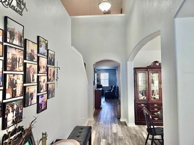 10924 Rainbow Pyrite Dr, Wimauma, FL 33598 - photo 6