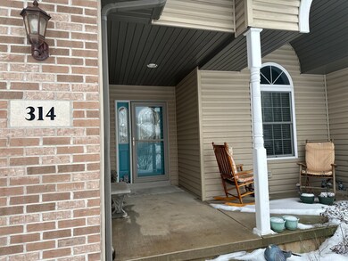 314 W Hudson St, Princeton, IL 61356 - photo 4