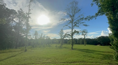 444-01 Tall Oaks Rd, Defuniak Springs, FL 32435 - photo 4