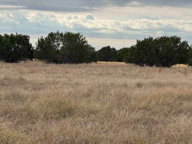 126 Acres County 204 Rd, Burnet, TX 78611 - photo 5