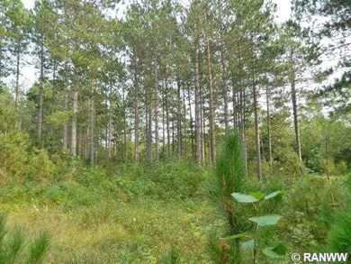 0 N Black Brook Rd unit 895453, Webster, WI 54893 - photo 2