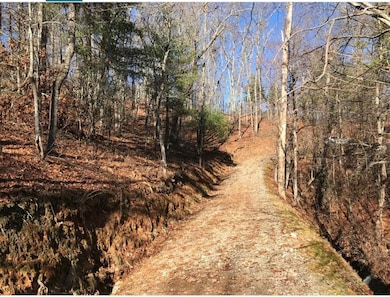 0 Saturn Way unit 26041777, Topton, NC 28781 - photo 5