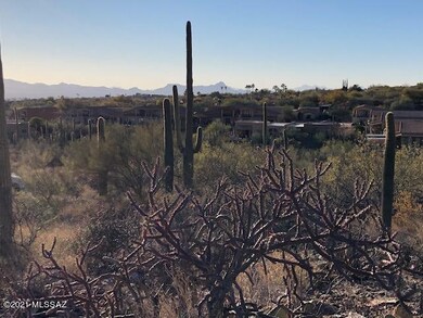 North range of Tucson Mtns