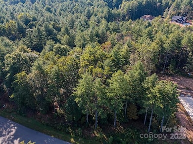 2342 Waterside Dr unit 81, Valdese, NC 28690 - photo 7