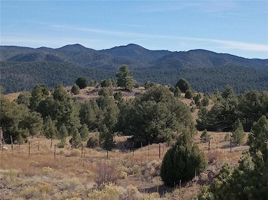 118 Porcupine Rd, Cotopaxi, CO 81223 - photo 6