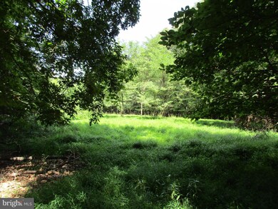 0 Tabor Rd unit 1000202295, Berkeley Springs, WV 25411 - photo 5