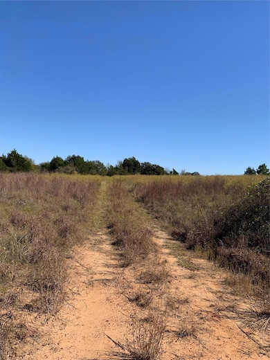 000 County Road 304, Lexington, TX 78947 - photo 5