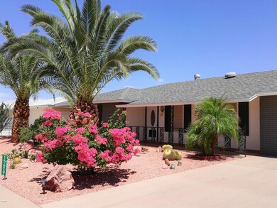 Colorful Blooms in Front