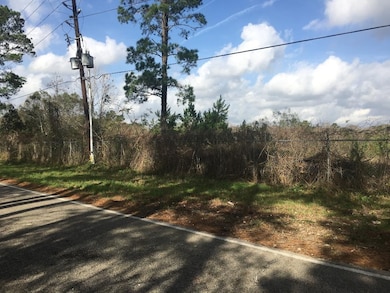 15859 Woodhollow Dr, Conroe, TX 77385 - photo 3