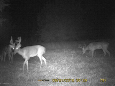 Indian Creek 8 pt