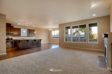 unlisted-address, Yelm, WA 98597 - photo 4