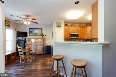 4502 Dunton Terrace unit 8502C, Perry Hall, MD 21128 - photo 5