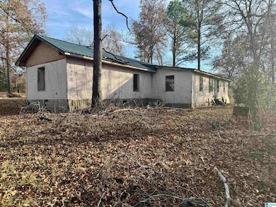 455 Hindman Ln, Talladega, AL 35160 - photo 4