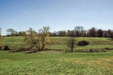 Tract 4 E 425th Rd, Fair Play, MO 65649 - photo 3