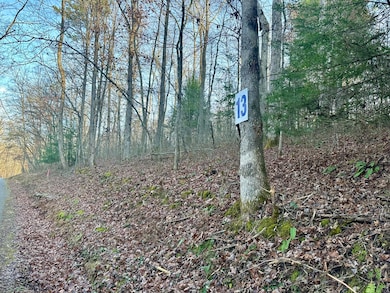 Lot 13 Hensley Rd, East Bernstadt, KY 40729 - photo 5