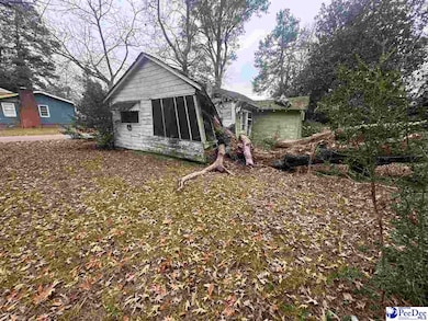 153 E Pine St, Johnsonville, SC 29555 - photo 6