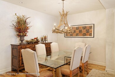 101 N Spring St unit 102, Aspen, CO 81611 - photo 5