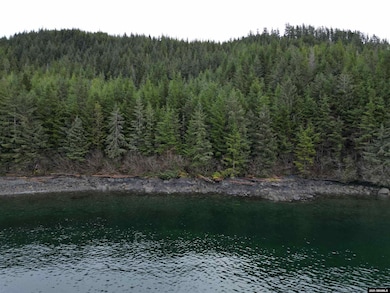 No Adress Legal Address Only unit Lot 4 Nakwasina Soun, Sitka, AK 99835 - photo 4