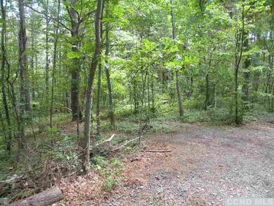 0 9w Route unit 110531, Athens, NY 12015 - photo 2