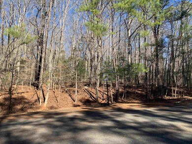 Lot # 28 Lauren Ct, Pittsboro, NC 27312 - photo 6